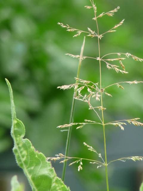 Forêt et nature – connexion au vivant